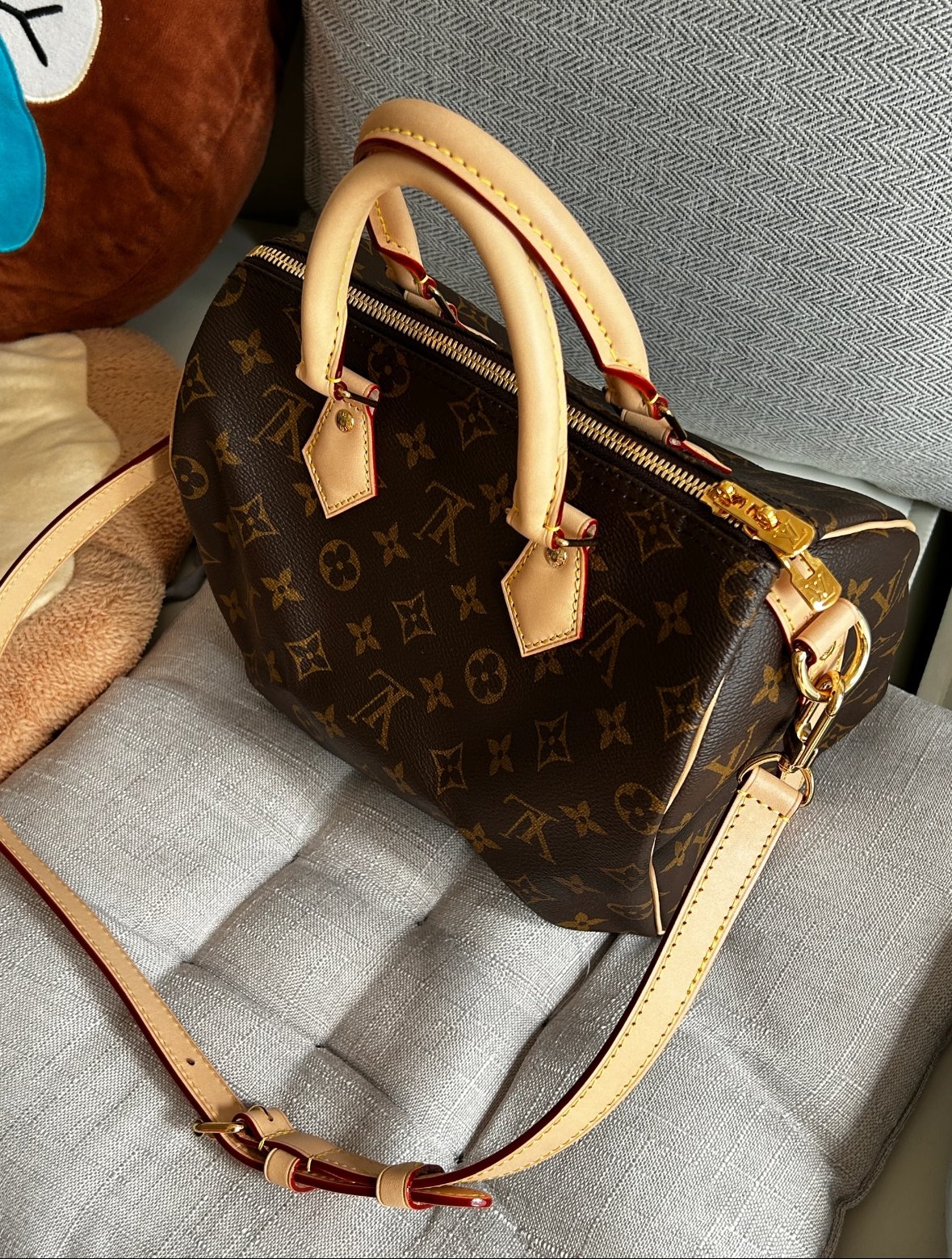 LOUIS VUITTON  Speedy 25 M41113 photo review
